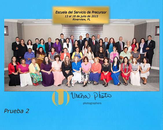 PrecursoresJulio 2015-1
